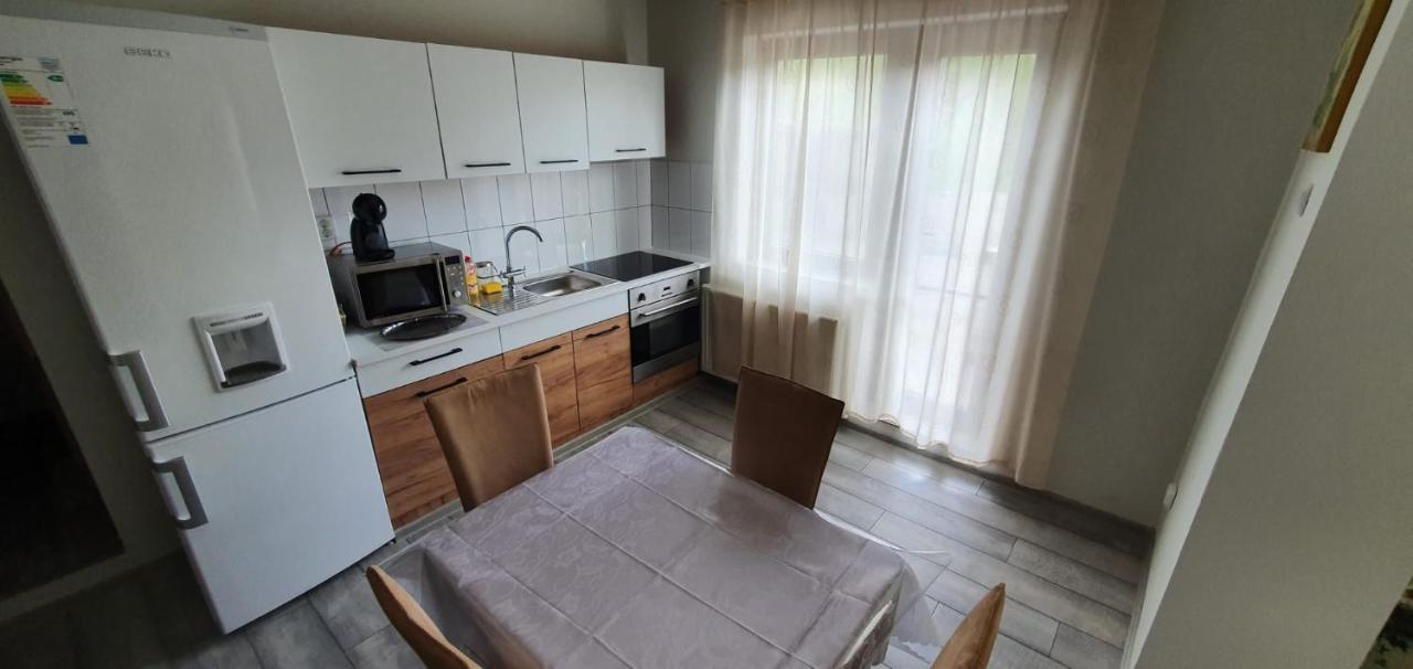 דירות Orşova Casa Alex Si Daiana מראה חיצוני תמונה